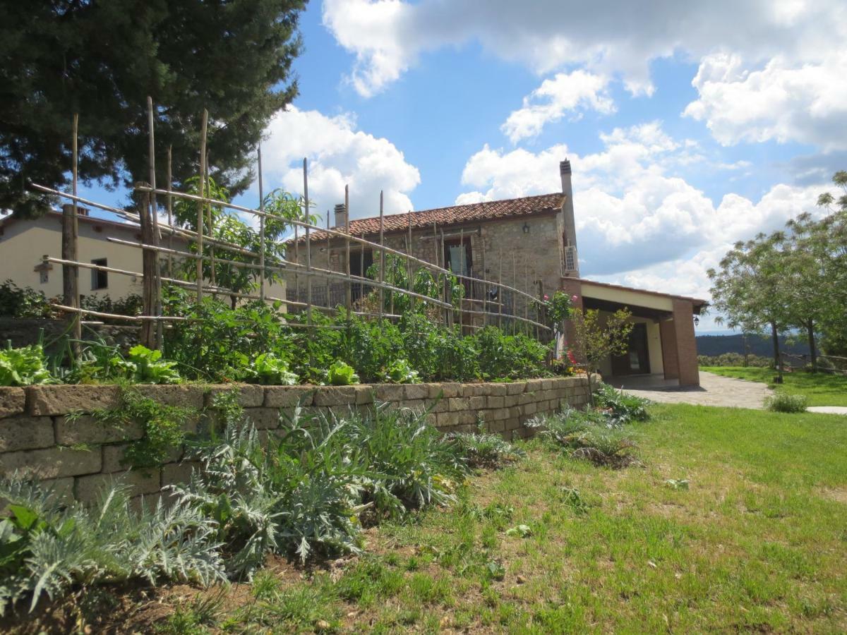 Agriturismo L'Alba Roccastrada Buitenkant foto
